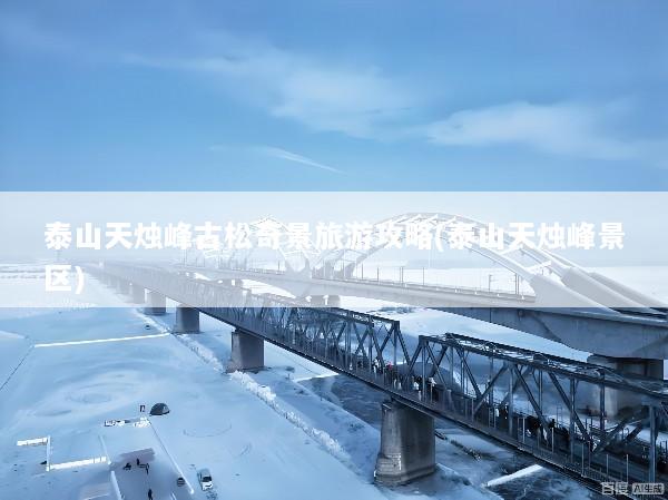 泰山天烛峰古松奇景旅游攻略(泰山天烛峰景区)