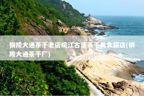 铜陵大通茶干老店皖江古法茶干美食探店(铜陵大通茶干厂)