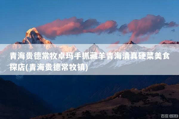 青海贵德常牧卓玛手抓藏羊青海清真硬菜美食探店(青海贵德常牧镇)