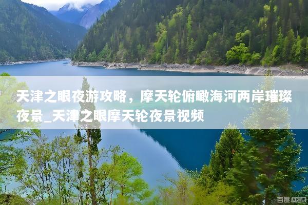 天津之眼夜游攻略，摩天轮俯瞰海河两岸璀璨夜景_天津之眼摩天轮夜景视频