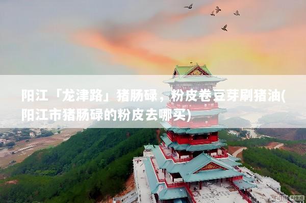 阳江「龙津路」猪肠碌，粉皮卷豆芽刷猪油(阳江市猪肠碌的粉皮去哪买)