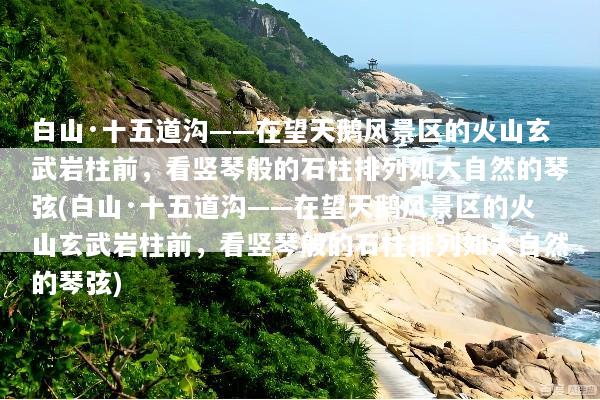 白山·十五道沟——在望天鹅风景区的火山玄武岩柱前，看竖琴般的石柱排列如大自然的琴弦(白山·十五道沟——在望天鹅风景区的火山玄武岩柱前，看竖琴般的石柱排列如大自然的琴弦)