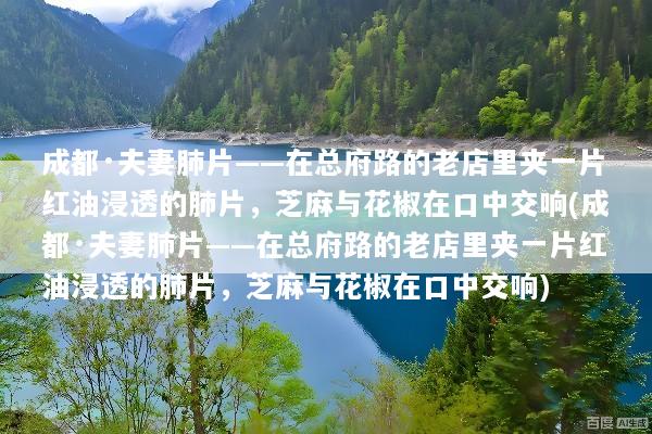 成都·夫妻肺片——在总府路的老店里夹一片红油浸透的肺片，芝麻与花椒在口中交响(成都·夫妻肺片——在总府路的老店里夹一片红油浸透的肺片，芝麻与花椒在口中交响)