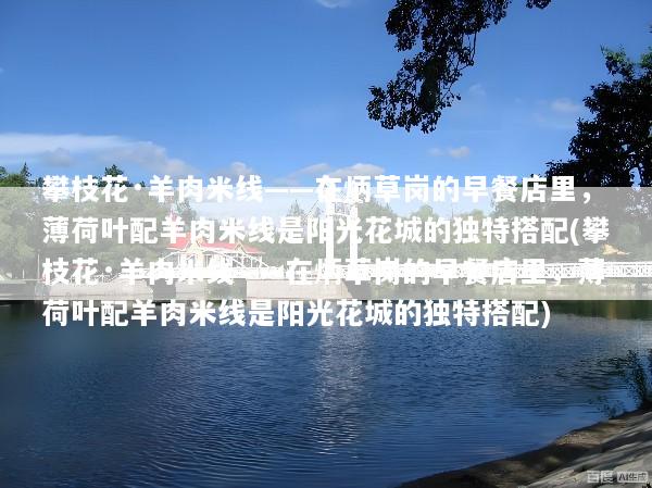 攀枝花·羊肉米线——在炳草岗的早餐店里，薄荷叶配羊肉米线是阳光花城的独特搭配(攀枝花·羊肉米线——在炳草岗的早餐店里，薄荷叶配羊肉米线是阳光花城的独特搭配)