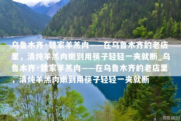 乌鲁木齐·魏家羊羔肉——在乌鲁木齐的老店里，清炖羊羔肉嫩到用筷子轻轻一夹就断_乌鲁木齐·魏家羊羔肉——在乌鲁木齐的老店里，清炖羊羔肉嫩到用筷子轻轻一夹就断