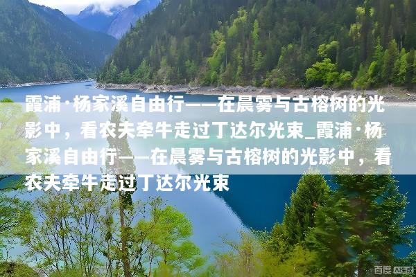 霞浦·杨家溪自由行——在晨雾与古榕树的光影中，看农夫牵牛走过丁达尔光束_霞浦·杨家溪自由行——在晨雾与古榕树的光影中，看农夫牵牛走过丁达尔光束