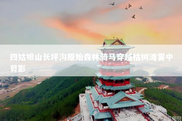 四姑娘山长坪沟原始森林骑马穿越枯树滩雾中剪影