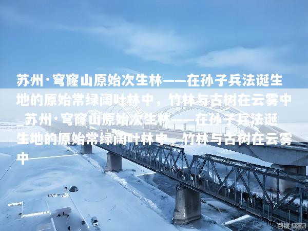 苏州·穹窿山原始次生林——在孙子兵法诞生地的原始常绿阔叶林中，竹林与古树在云雾中_苏州·穹窿山原始次生林——在孙子兵法诞生地的原始常绿阔叶林中，竹林与古树在云雾中