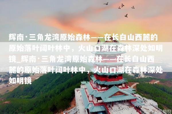 辉南·三角龙湾原始森林——在长白山西麓的原始落叶阔叶林中，火山口湖在森林深处如明镜_辉南·三角龙湾原始森林——在长白山西麓的原始落叶阔叶林中，火山口湖在森林深处如明镜