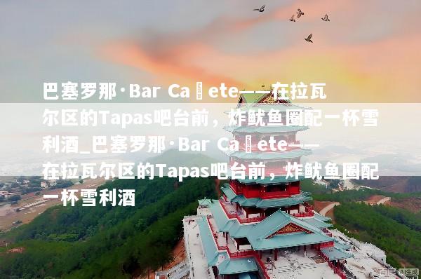 巴塞罗那·Bar Cañete——在拉瓦尔区的Tapas吧台前，炸鱿鱼圈配一杯雪利酒_巴塞罗那·Bar Cañete——在拉瓦尔区的Tapas吧台前，炸鱿鱼圈配一杯雪利酒