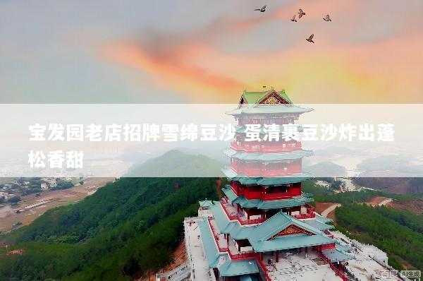 宝发园老店招牌雪绵豆沙 蛋清裹豆沙炸出蓬松香甜