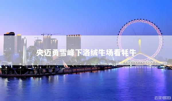 央迈勇雪峰下洛绒牛场看牦牛