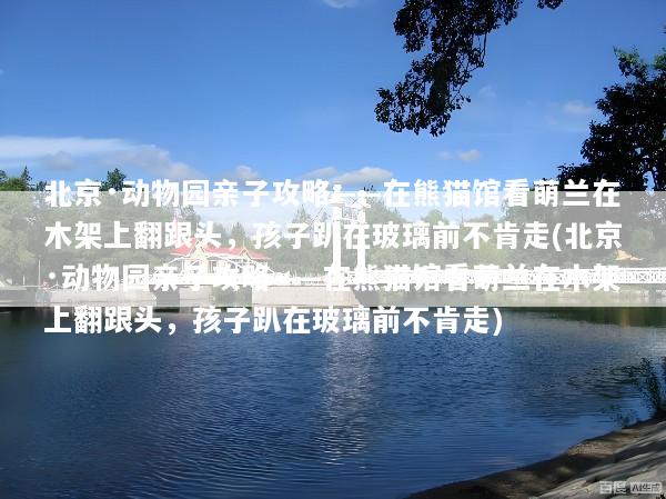北京·动物园亲子攻略——在熊猫馆看萌兰在木架上翻跟头，孩子趴在玻璃前不肯走(北京·动物园亲子攻略——在熊猫馆看萌兰在木架上翻跟头，孩子趴在玻璃前不肯走)