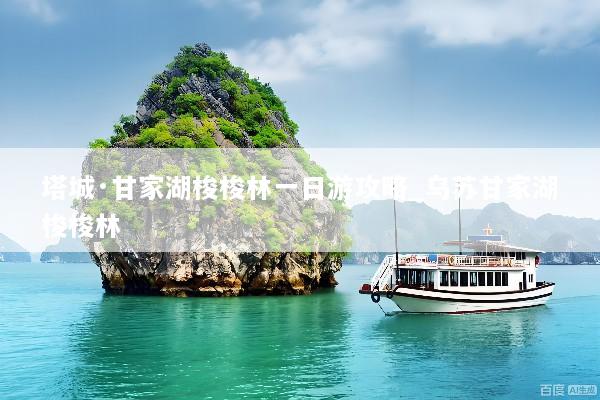 塔城·甘家湖梭梭林一日游攻略_乌苏甘家湖梭梭林