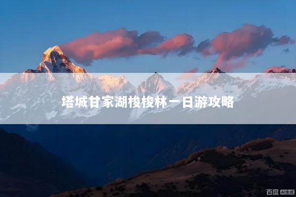 塔城甘家湖梭梭林一日游攻略